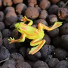 12pcs Mini Frogs,1 Grass and 1 stone Toy Set Small Realistic Frog Toy Decorations Frogs Rain Forest Lifelike Art Lawn decoration 4