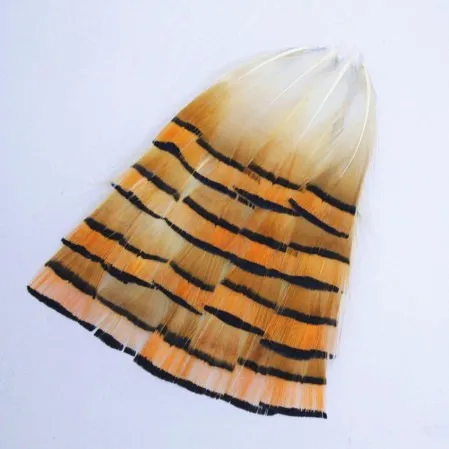 

100PCS/LOT 4-7cm Loose Nature Bright Orange&Black Colour Golden Pheasant Tippet Feathers,Craft Feathers,Small Feathers