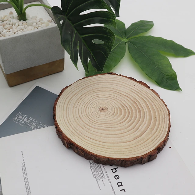 10Pcs Natural Wood Round Unfinished Wood Slices Circles Tree Slice With  Bark For DIY Crafts Wedding Party Arts Painting Home Decoration