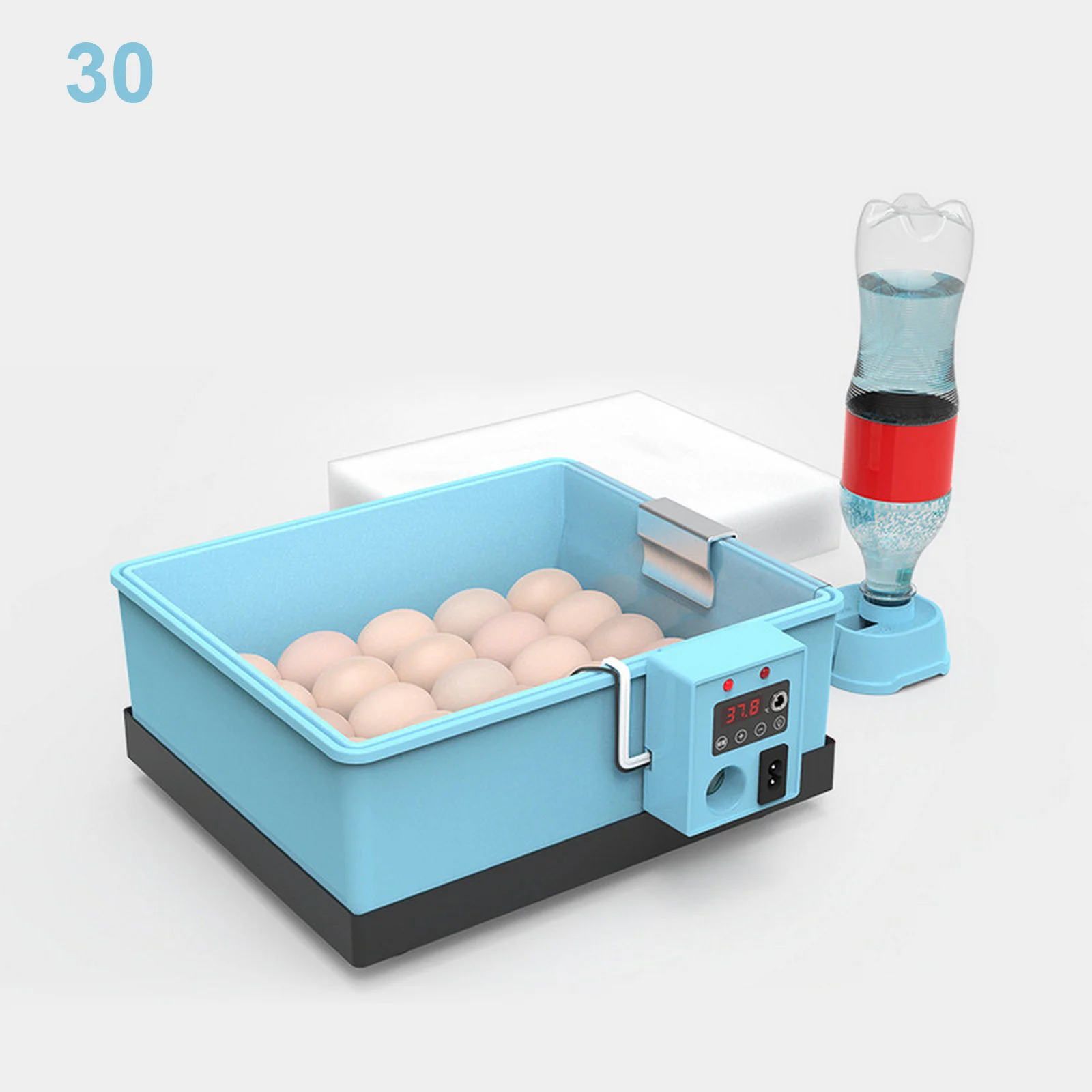 30 eggs