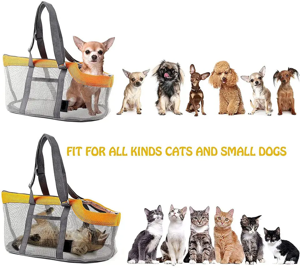 Foldable Mesh Pet Carrier Handbag