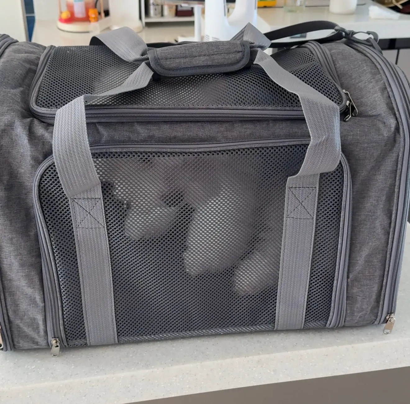 Dog Carrier Backpack | Soft-Sided Pet Travel Bag with Mesh Panels photo review