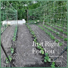  Plant Trellis Netting Heavy-Duty Polyester Plant Support Vine Climbing Hydroponics Garden Net Accessories 5x15ft 5x30ft 