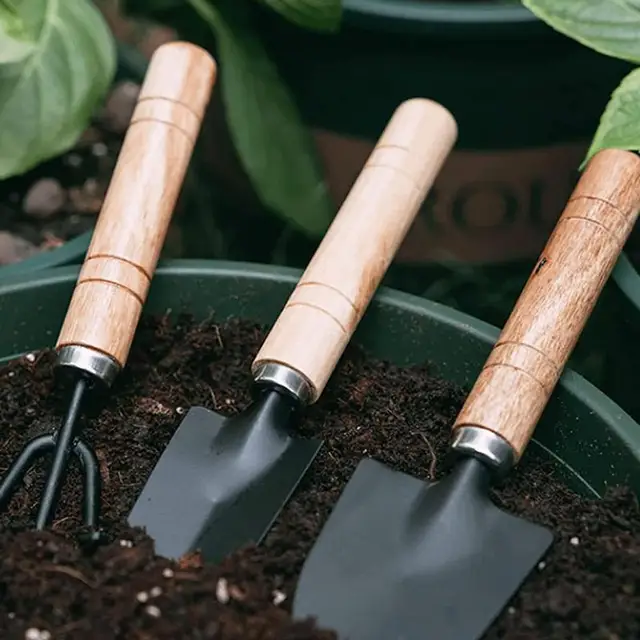 Kertészeti Szerszámkészlet 3Db Kézi Szerszámok Munkakesztyűvel Zamatos Készlet Tartalmazott Ásók Rake Lapát Ajándékokat Férfiak Számára - Image 2