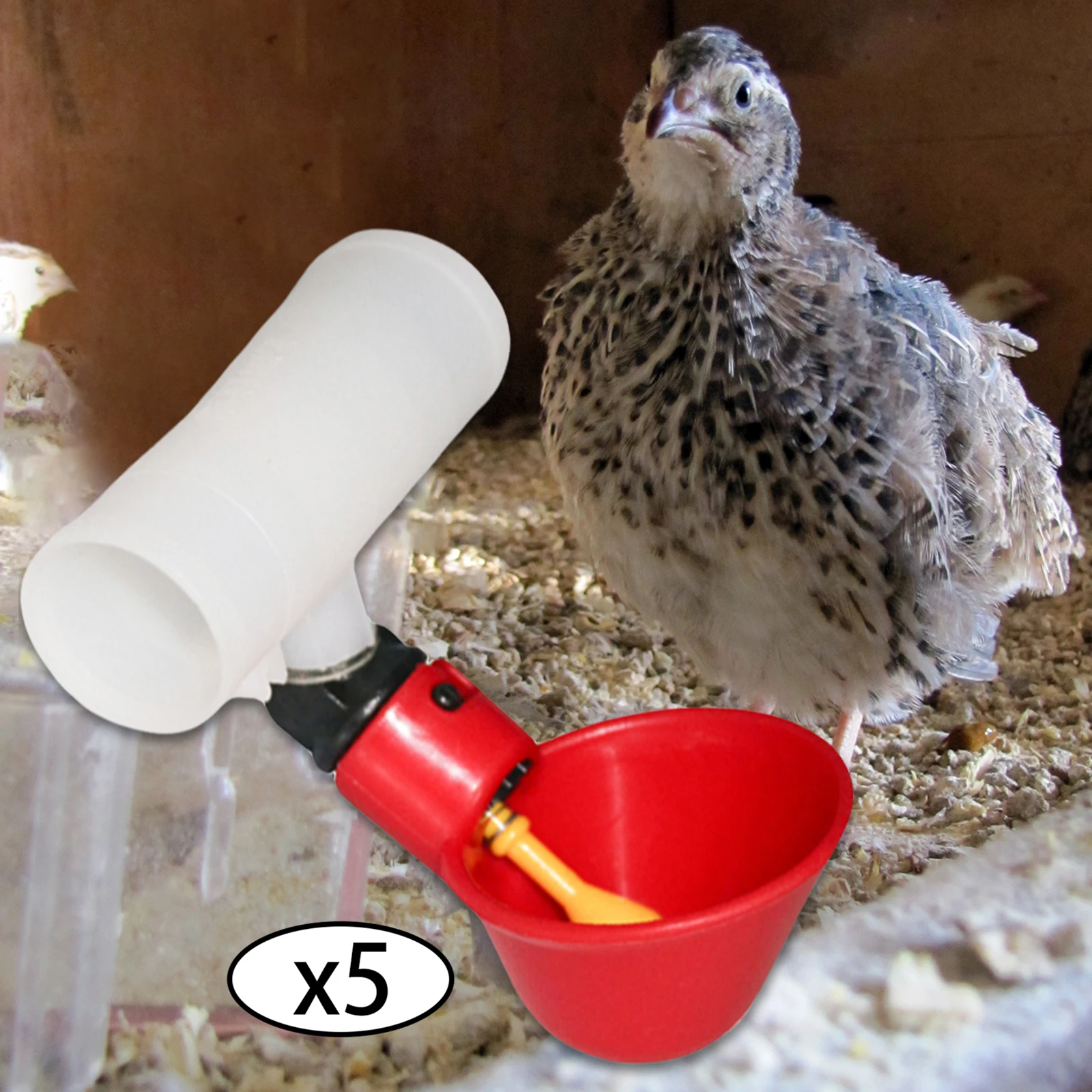 Plastic Poultry Drink Cup Automatic Chicken Feeder Water Drinking Bottles for Chicken Hen Bird Duck Goose Food Dispenser 5Pcs poultry water dispenser,poultry drinking cups,poultry feeder,poultry waterer