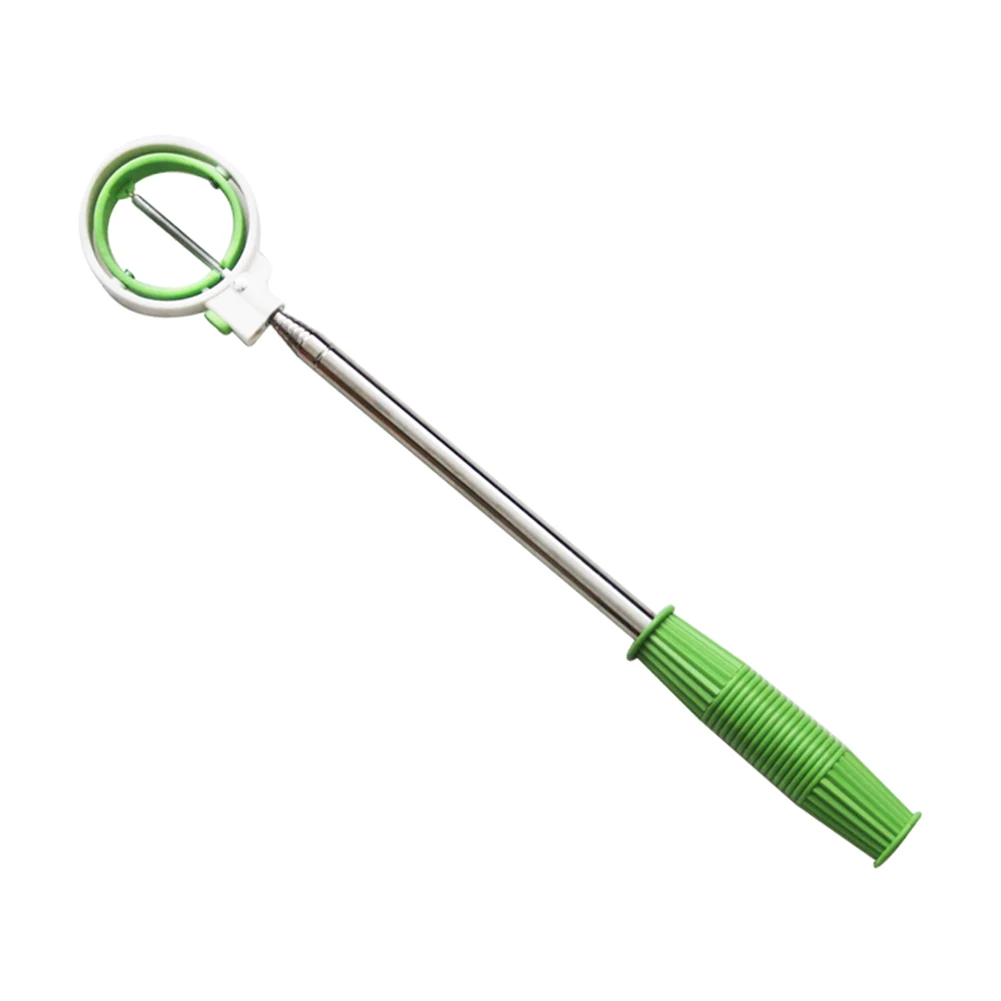 ڷ Ȯ   Ⱦ ׷, 8  ׳  Ŀ ,   Ʈ