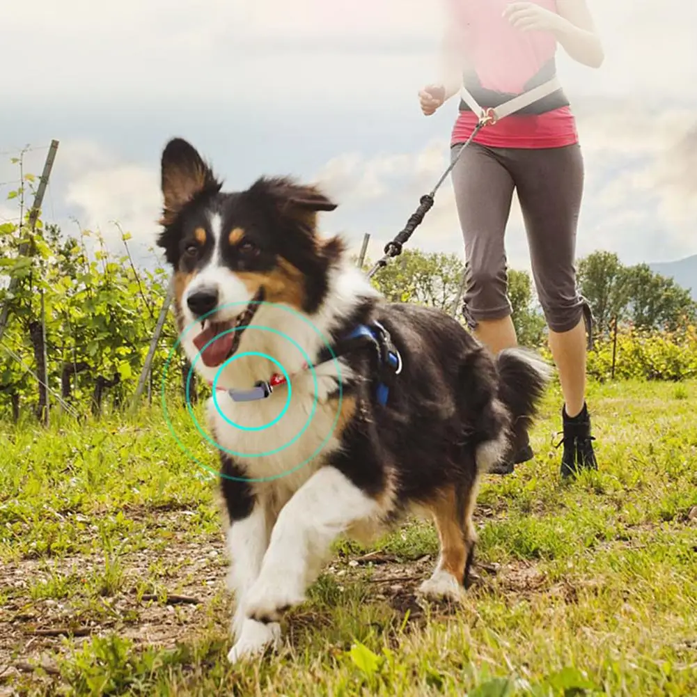 YOUZI Mini Pet Real-time Tracking Collar IP67 Waterproof GPS AGPS LBS Wifi TrackING Tracking Locator Dog Cat Find Device