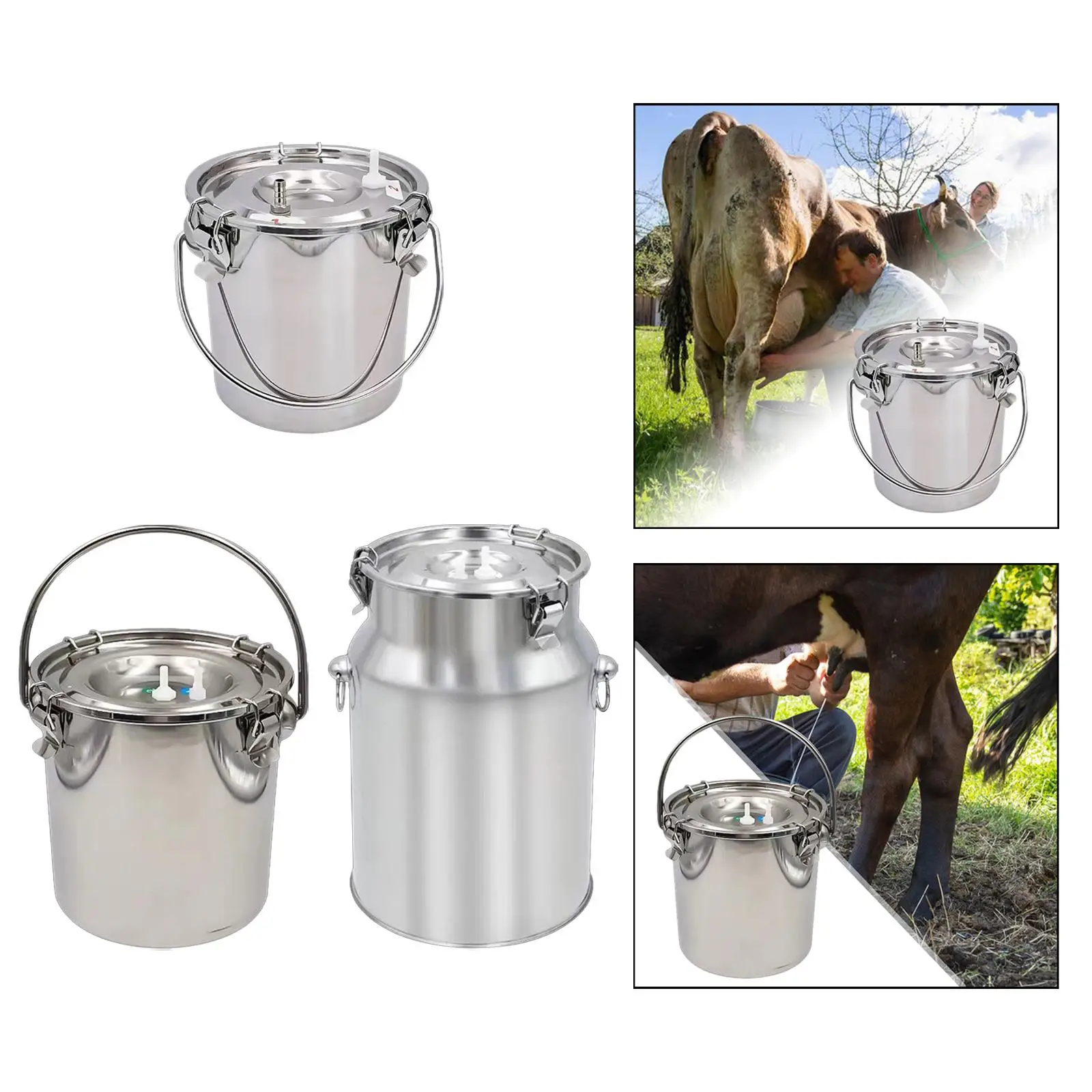 Stainless Steel Milking Bucket for Livestock and Farm Use with Large Capacity
