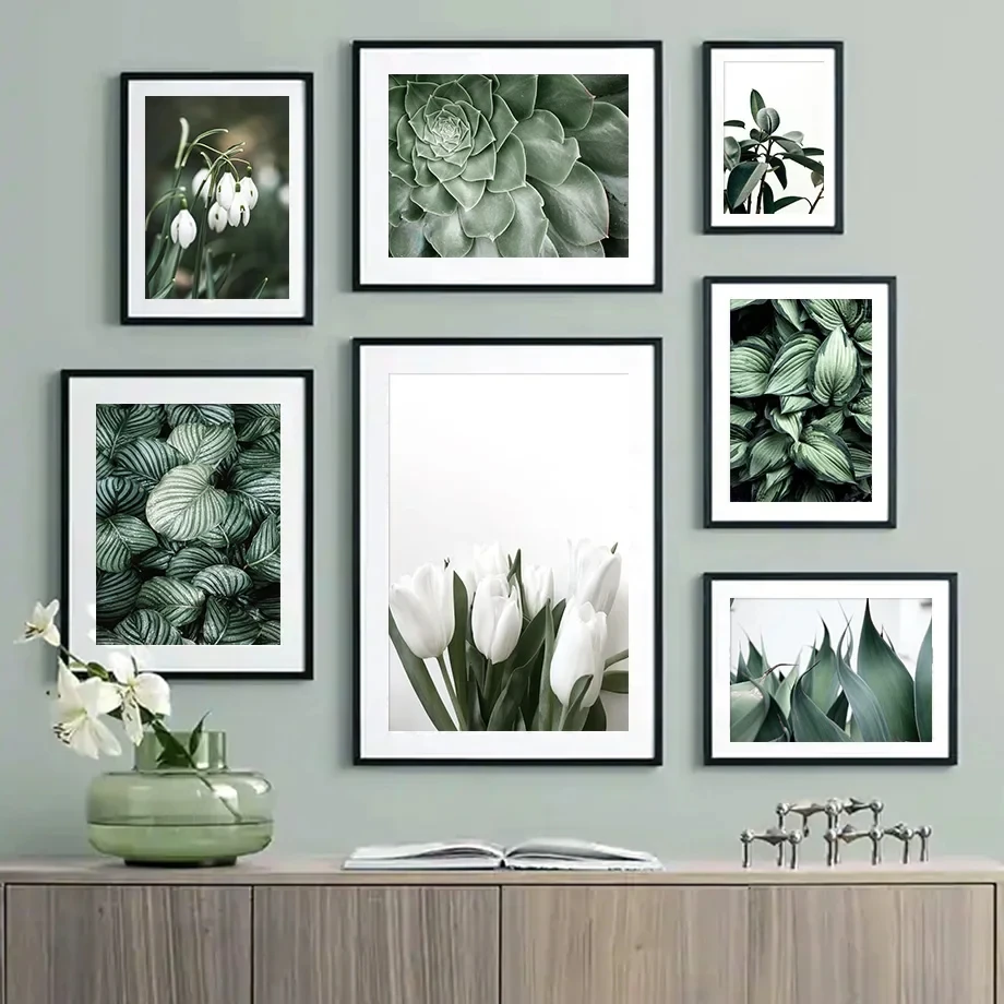 

Фотофон «тюльпан алоэ вера монтелла», зеленые листья, искусственные растения, скандинавский постер, печать, гостиная, украшение для дома, Настенная картина