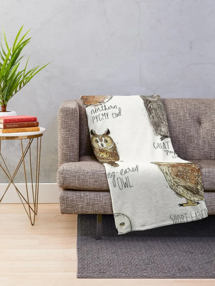 �û��� ���� ��� �м� ���� ���