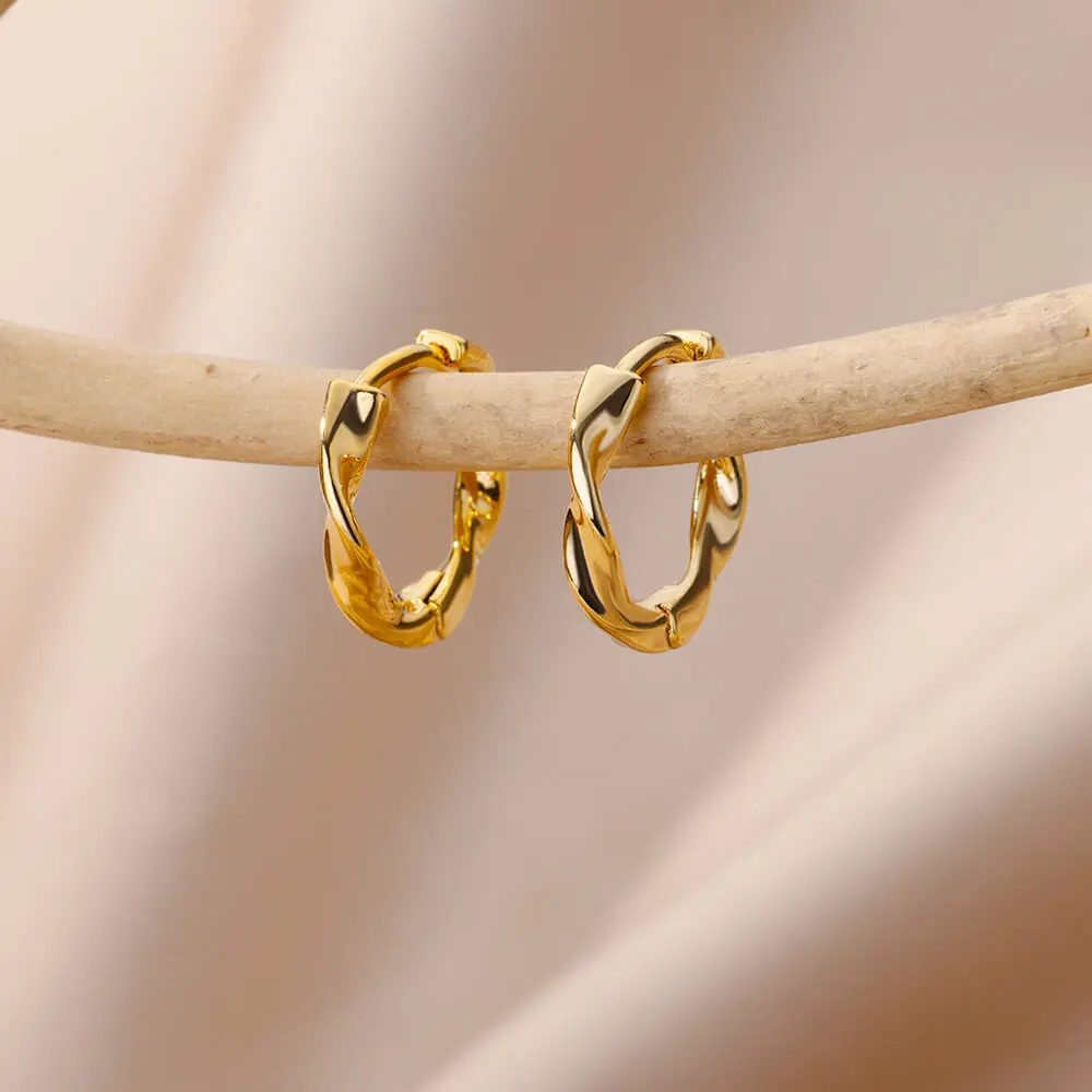 Stainless Steel Hoop Earrings for Women Luxury Gold Plated Earrings 2024 Trend New in Aesthetic Jewelry Free Shipping aretes BFF - Image 6