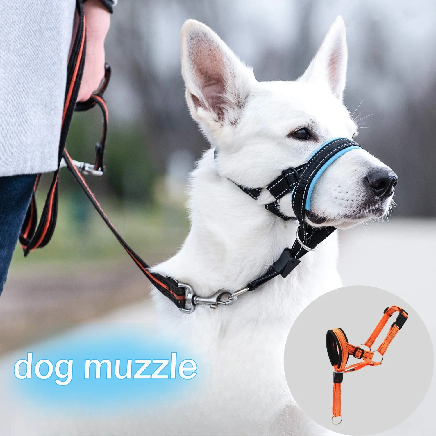 Dog Mouth Muzzles Anti Bark Dog Collar Breathable Training Tool Nylon Muzzle Set With Reflective Strips Summer Pet Leashes