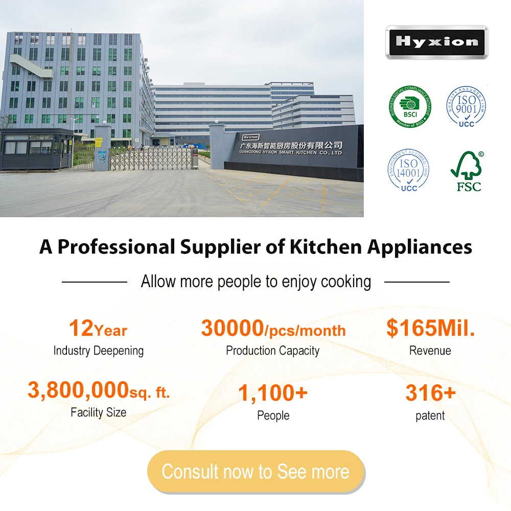 Electric and Gas Stove With Oven 6 Electric and Gas Stove With Oven 6