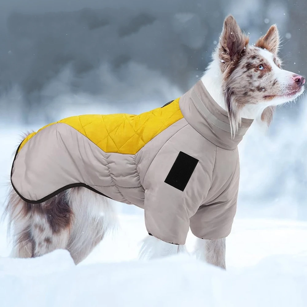 Pet Jumpsuits Golden Labrador Retriever waterproof dog jumpsuit medium big dog Big dog winter warm cotton blend coat