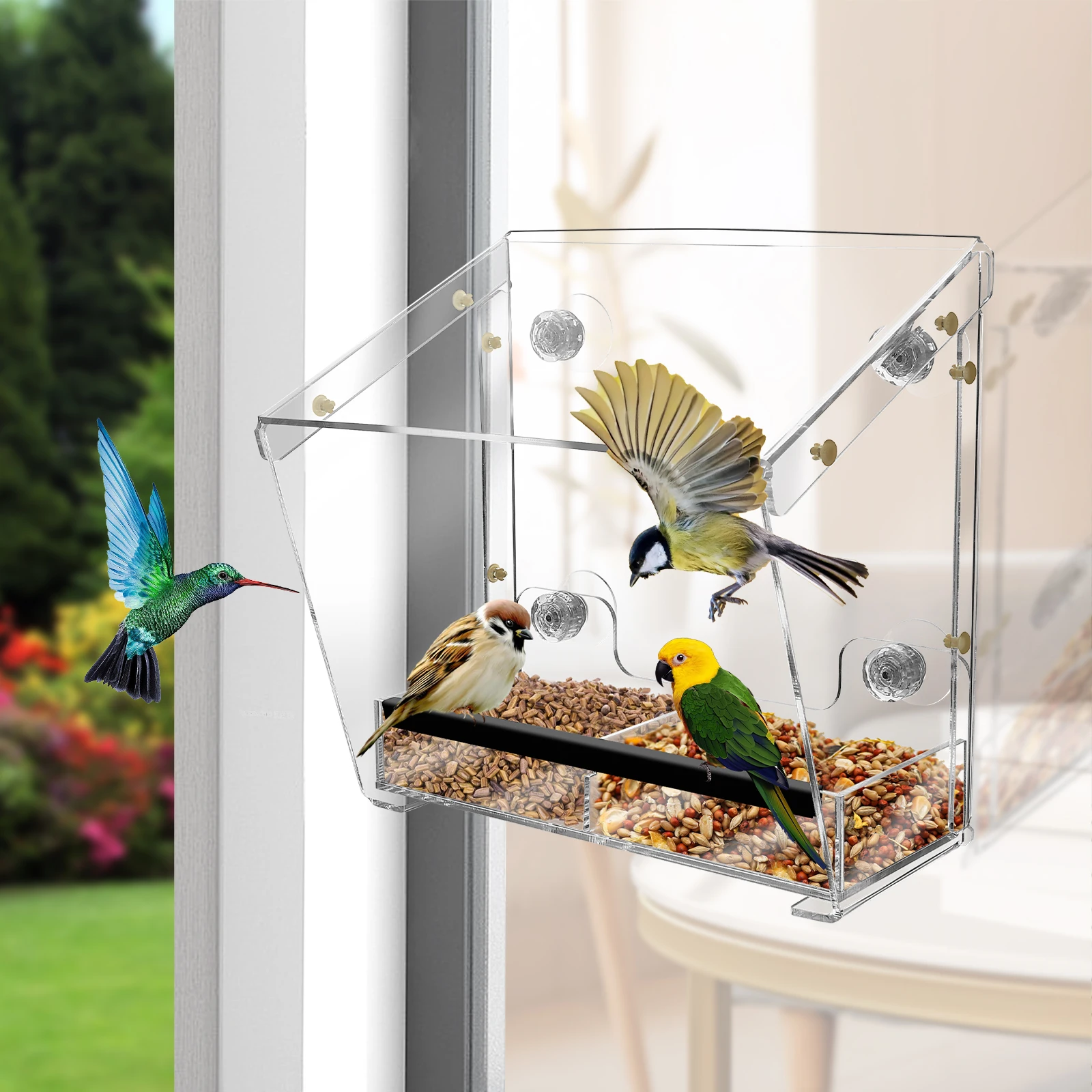 Acrylic Bird Feeder Window Bird Feeder with Suction Cups Clear Feeding House for Garden Outdoor Backyard Wildlife Birding