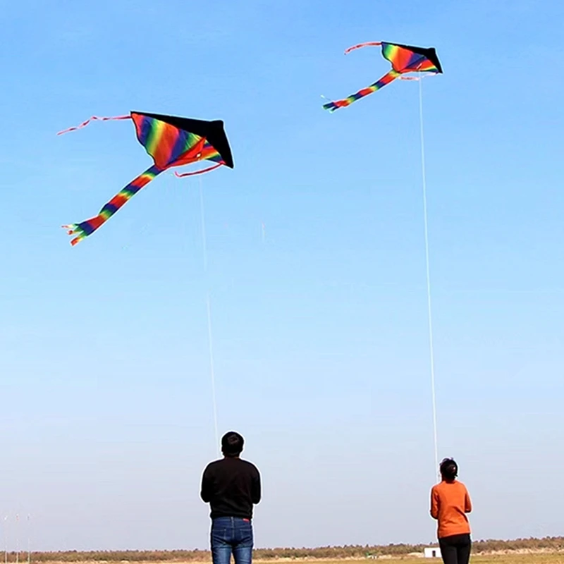 

free shipping rainbow delta kites for children kites for kids reel ripstop nylon fabric kite butterfly kite flying bird windrad