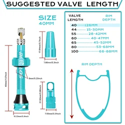 BUCKLOS High - Quality Tubeless Presta Valves for Road and Mountain Bikes (TURQUOISE - 40MM)