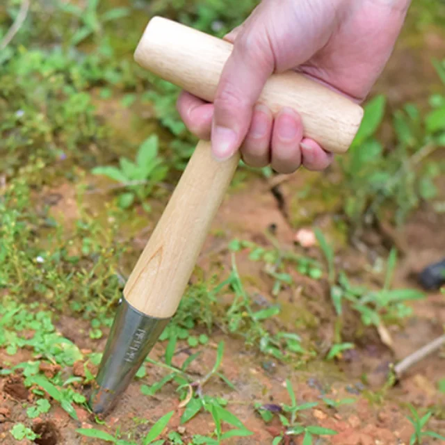 Otthoni Ültetési Szerszámok Lyuk Lyukasztó Kertész Tartós Fa Fogantyú Rozsdamentes Acél Vetőmag Ültetvényes Szerszám Talaj Kerti Kellékek - Image 2