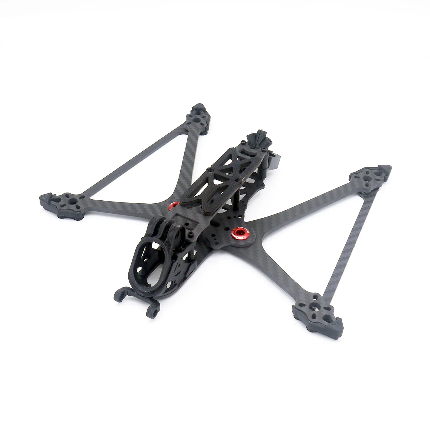 Rex210 (8).JPG