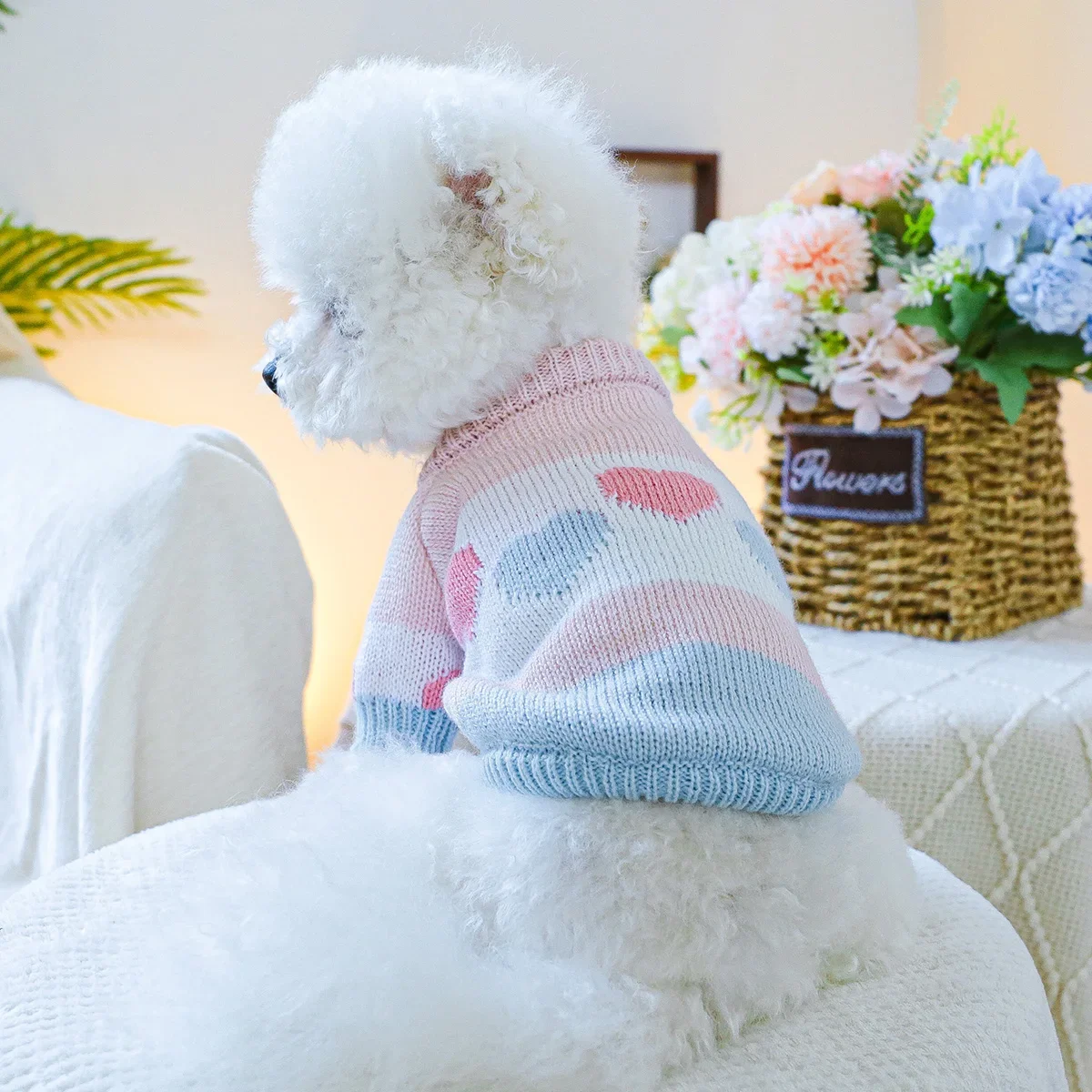 1PC 애완 동물 의류 봄과 가을 개 후드티 탄성 블루 핑크 러브 자카드 스웨터 소형 및 중형 개에게 적합