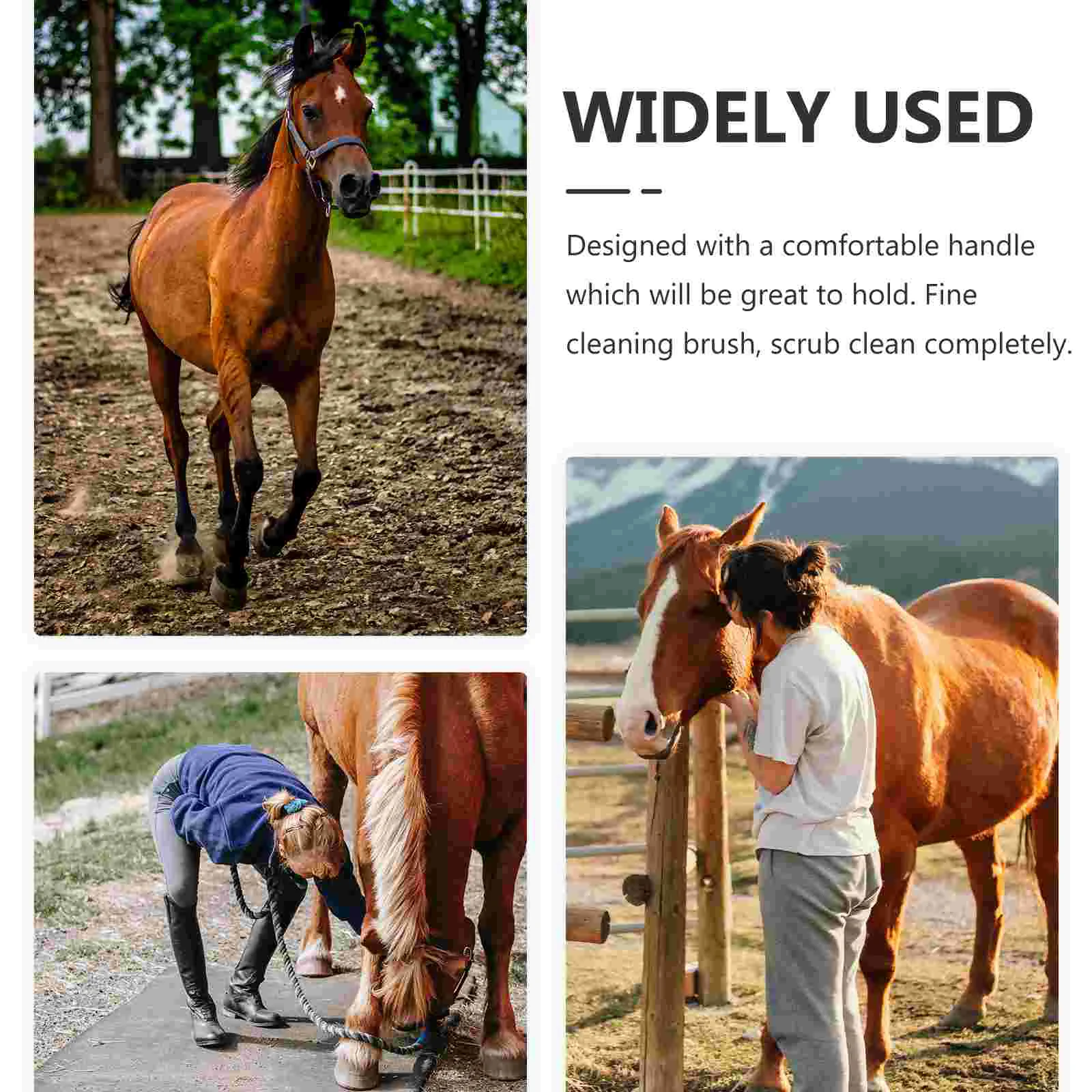 Рисунок 4 - Пластиковая лошадь