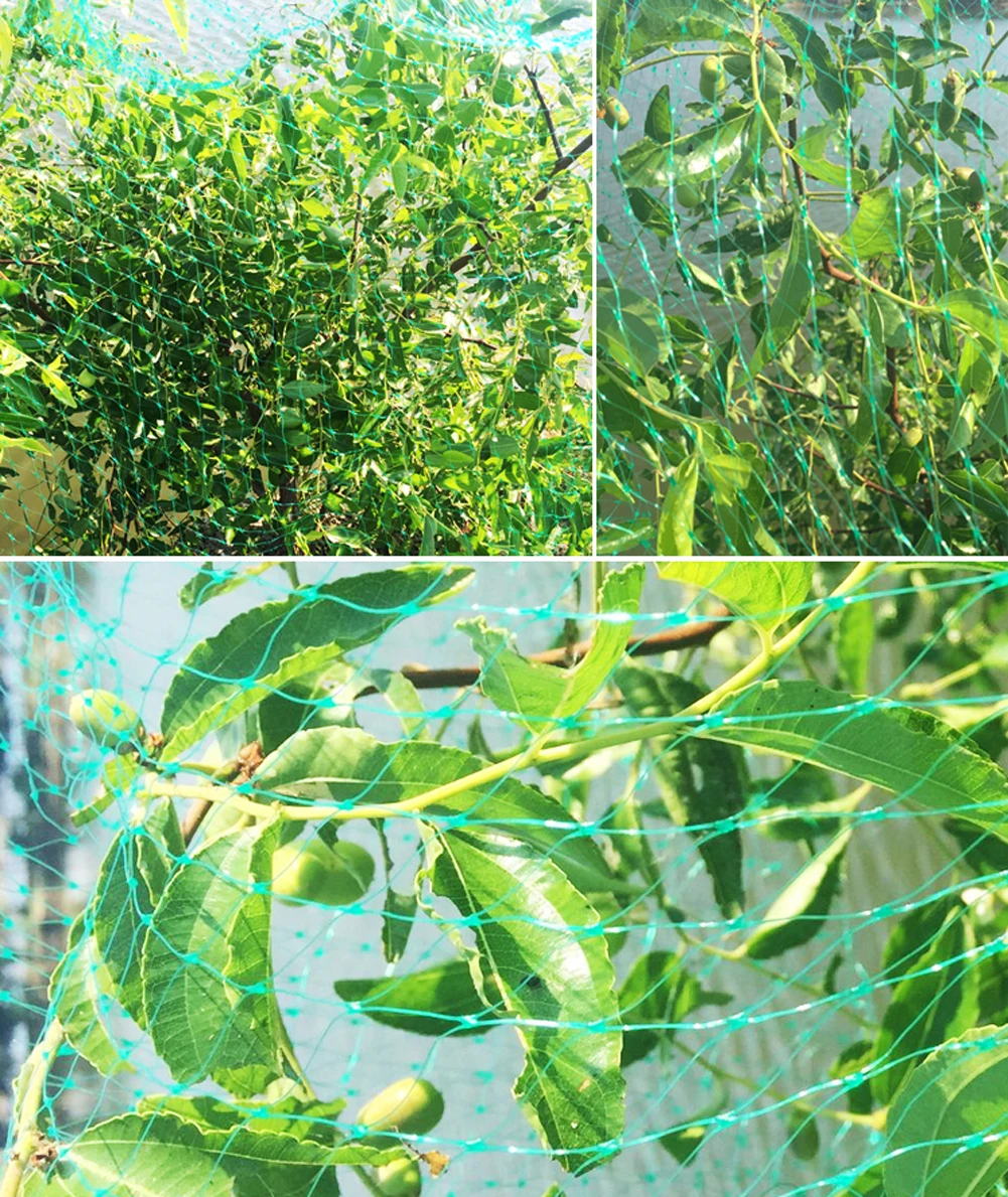 Green Anti Bird Netting Garden Plant Mesh Durable Protect Plants and Fruit Trees Stops Birds Deer Poultry Best Stretch Fencing