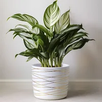 9 Inch Ceramic Plant Pot - Matte White with Gold Stripes - Drainage Plug Included 1