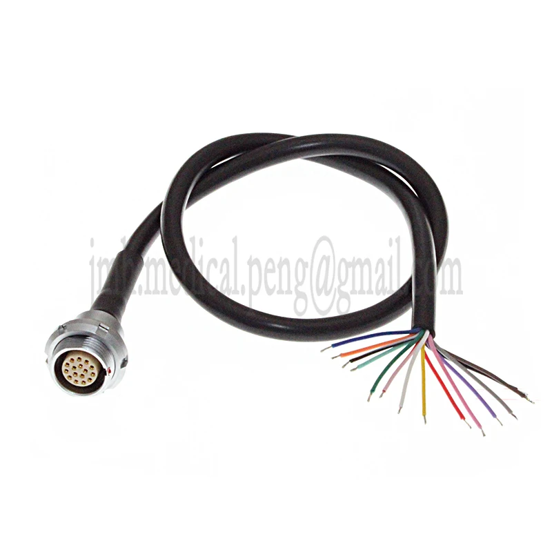eeg para phg femea fgg fhg 01