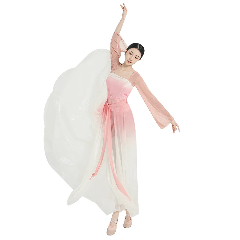 

Classical Dancing Dress Women's Gauze Clothes Chinese Classic Dance Exercise Clothing Stretch Top Costume Ancient Style