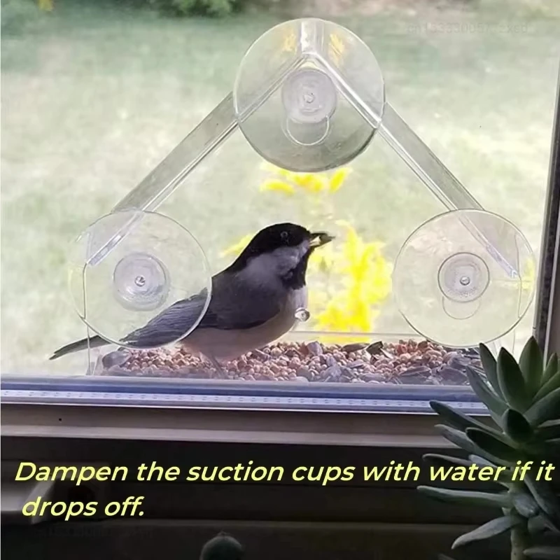 Clear Window Bird Feeder 2