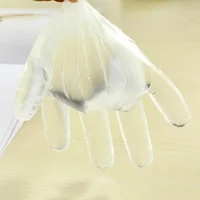 100Pcs Disposable Transparent Gloves