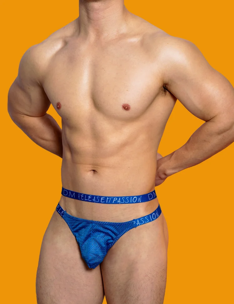 Ropa interior Gay para Hombre, tangas, Bikini Sexy, Tanga para Hombre, tentación de malla, bragas para Hombre, cintura baja, cuerdas sólidas, Cuecas de vendaje