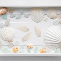 100pcs White Mini Sea Shell Conches Craft Wedding Garden Aquarium Decoration 1