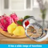 Fruit Cutter, 12-Blade Extra Large Apple Corer,Easy to Use, Time-Saving, Heavy Duty Stainless Steel Apple Slicer And Divider 2