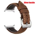 Brown Silver