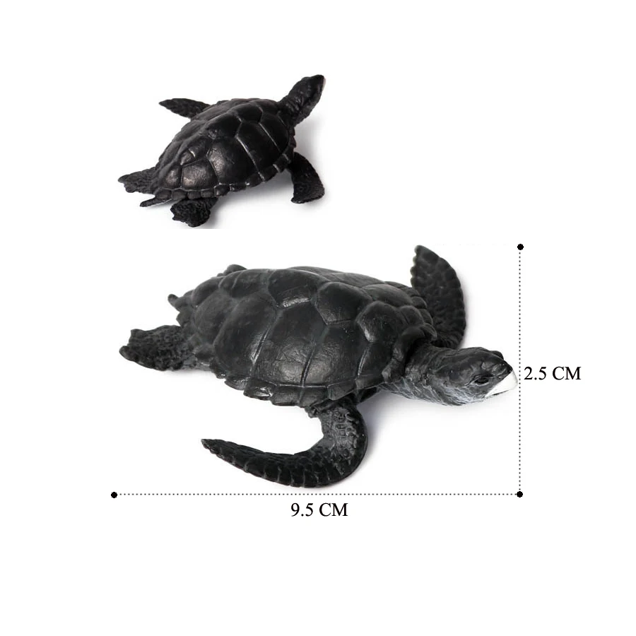 Realistic Sea Turtle Growth Cycle Educational Toy and Cake Topper Gift