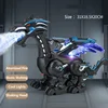 Electric Simulation Atomize Fire Dinoasur Bionic Walking Shaking Head Water Spray Cool Light Children Educational Puzzle Toys 2
