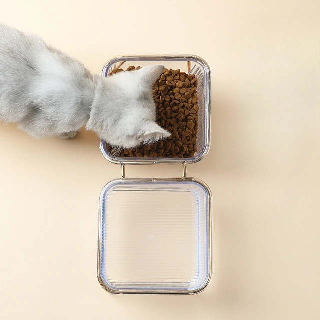 Cat and Dog Drinking Bowl Food Bowl Pet Drinking and Feeding Station Iron Bowl for Moisturizing and Healthy Eating 3