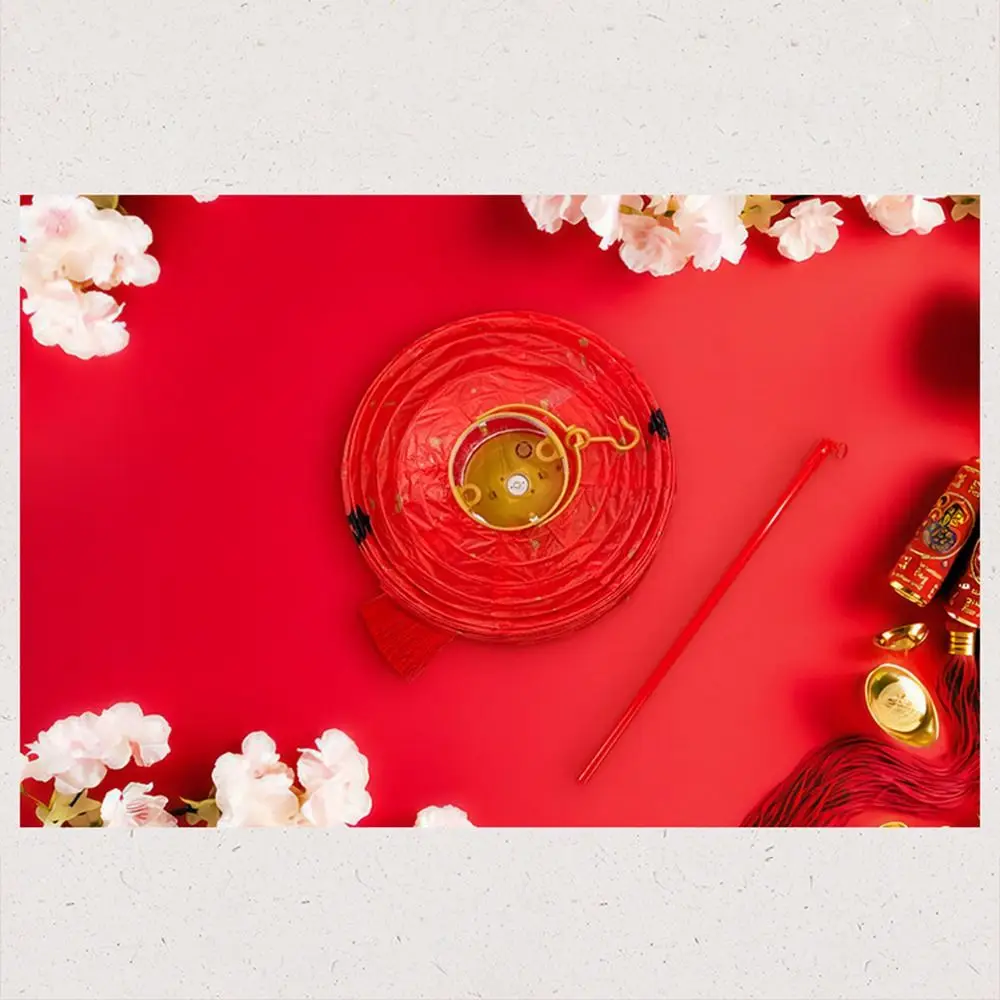 Mit Beleuchtung Chinesische Laterne DIY Materialien Viel Glück Handgefertigte Neujahrslaterne Dekore Leuchtend mit Griff – Detail 3