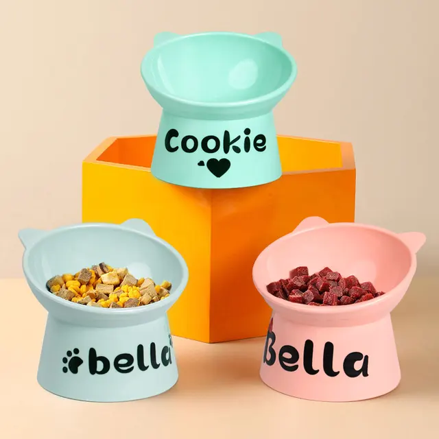 Custom Cat Feeding Bowl Personalized Puppy Cat Food Water Bowl High Foot Pet Dog Cat Bowls Free Print Pet Name Food Water Bowls