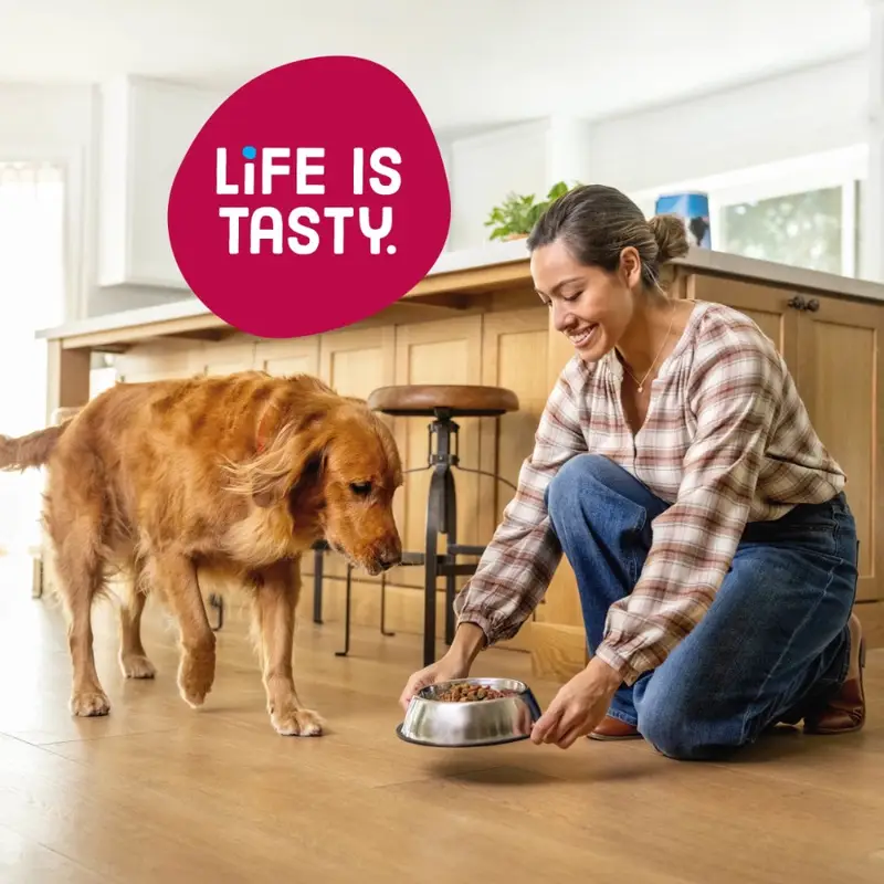 Kibbles 'n Bits Bistro Oven Roasted Beef, Vegetable and Apple Flavors Dry Dog Food, 16 lb. - Image 6