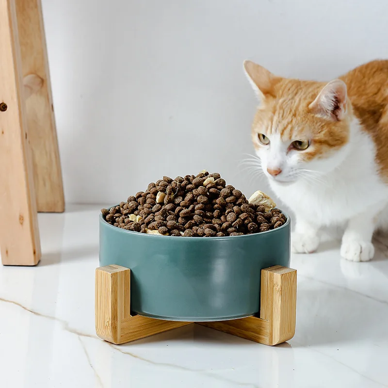 Bol en céramique pour chat et chien, récipient à nourriture et à eau, protection du cou cervical, fournitures de bol pour animaux de compagnie avec support en bois