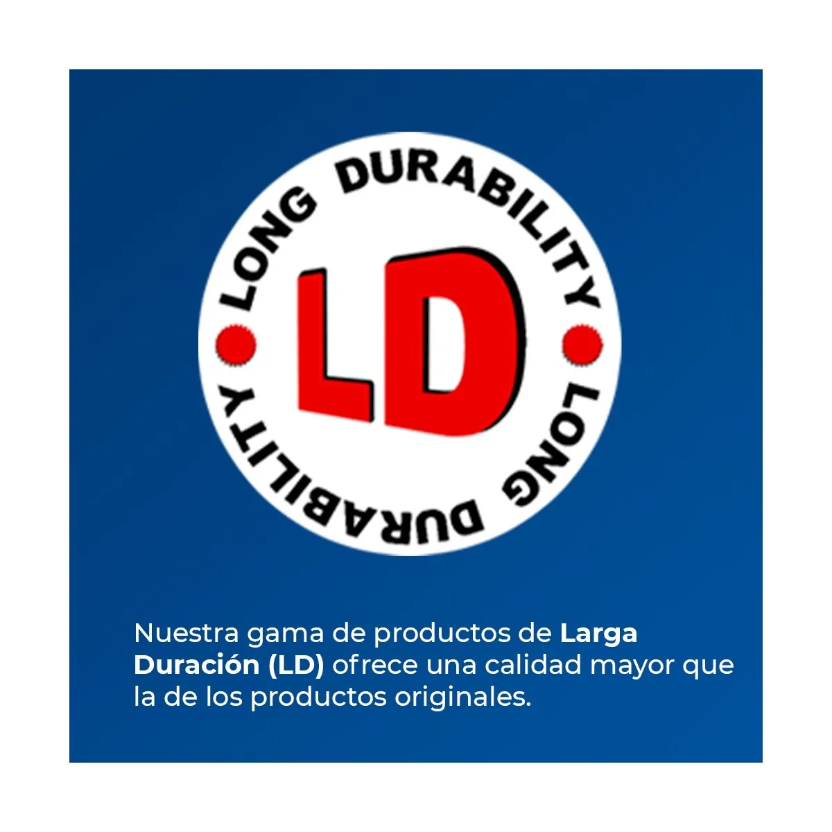 3RG - Limpiador Directo Diesel DPF, Limpiador de Filtro DPF Diesel, Spray limpiador FAP/DPF, accesorios coche