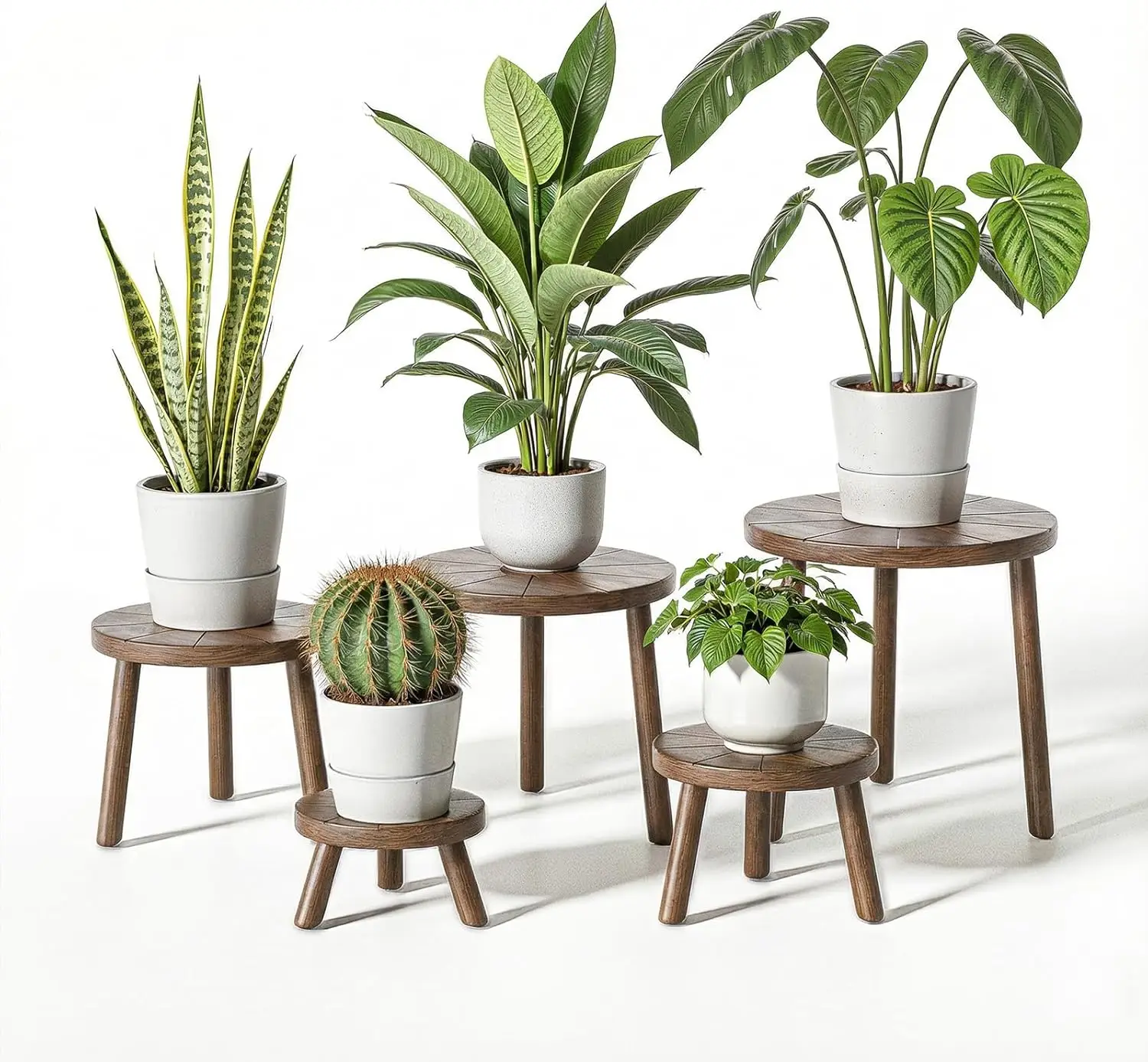 Wooden plant stands set with five graduated heights in a dark finish