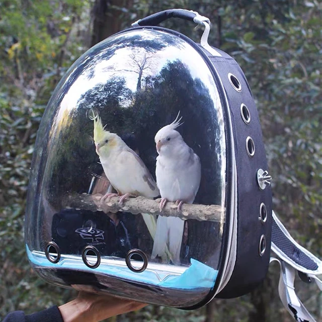 Bird Friends Tote Bag | Bird Collective