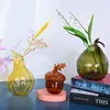 1pc Fruit Shaped Glass Vase Aromatherapy Bottle Vase Creative Pomegranate Pear Shaped Bottle Vase Home Decoration Flower Vase 2
