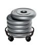 26589-bde152.jpg Iron Plant Stand Premium Heavy-Duty Black Wrought-Iron Round Pot Holder Corner Garden