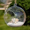Transparent Glass Vase Plant Creative Hanging Glass Ball Flower Vase Terrarium Container Home Office Decor Hanging Decorative 3