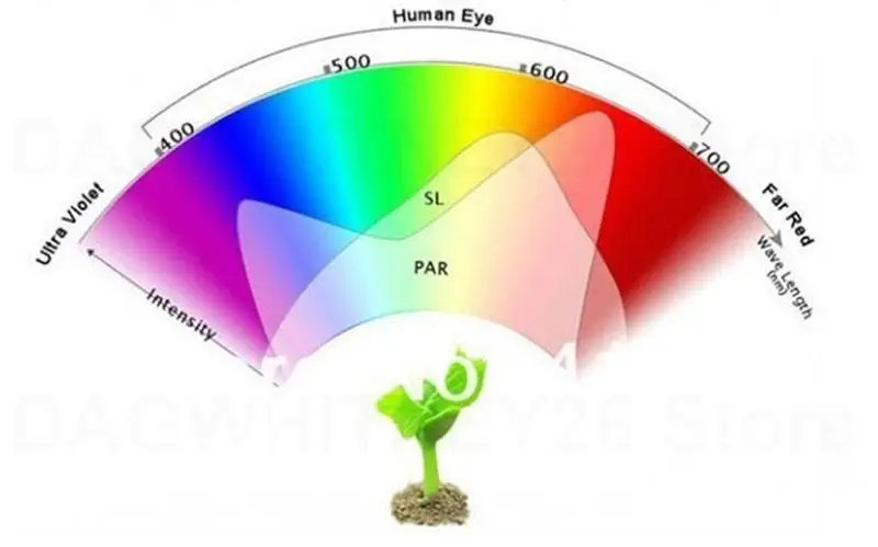 Description Picture 2 of itemDual 200 Led Plant Grow Light Bulb Desk Clip Holder Full Spectrum LED Lamp for Plants Vegs Hydroponic System greenhouse U26