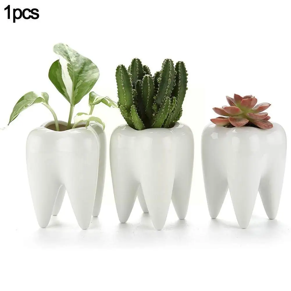 

1pcs Tooth Shaped Ceramic Flowerpot Home Furnishings Plant Pot Vase Succulent Cactus Table Nursery Basin Flower Cu D3d0